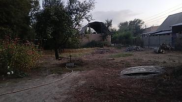 Продаётся земельный участок с садом и небольшим кирпичным домом. 🏡 at lalafo.kg Продаётся земельный участок с садом и небольшим кирпичным домом. 🏡