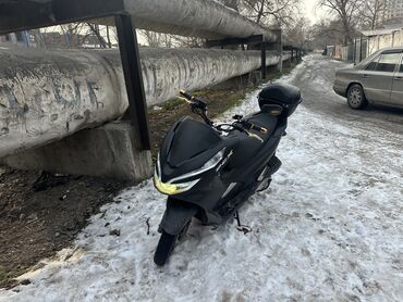 макси скуьер: Макси скутер Honda, 160 куб. см, Бензин, Б/у