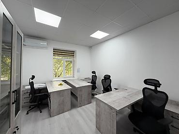 Сдаю Офисный кабинет: 181 м²