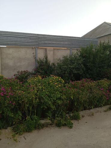 Həyət evləri və villaların satışı: 4 otaqlı, 2000 kv. m, Kredit yoxdur, Orta təmir -da lalafo.az — 3 Həyət evləri və villaların satışı: 4 otaqlı, 2000 kv. m, Kredit yoxdur, Orta təmir — 3