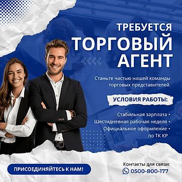 Требуется Торговый агент, График: Шестидневка, Без опыта, % от продаж, Полный рабочий день