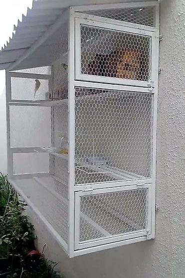 Qəfəslər: Pəncərə üçün “catio” – pişiklər üçün açıq, təhlükəsiz balkon-kafes - — 8