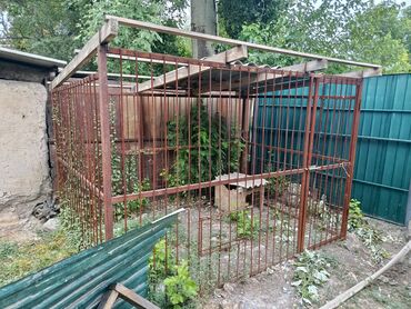 традиционный лук: Удобства для дома и сада