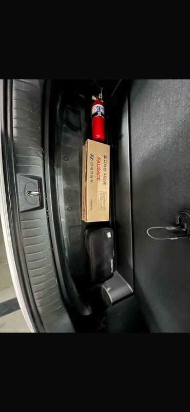 Hyundai: Hyundai Palisade: 2018 г., 2.2 л, Автомат, Дизель, Внедорожник — 15