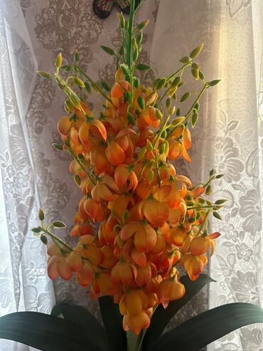 Письменные столы: Письменный стол — 3