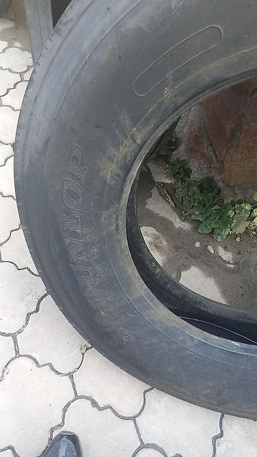 Шины: Шины R 24,5, Новый, Грузовики/Автобусы, Dunlop — 2