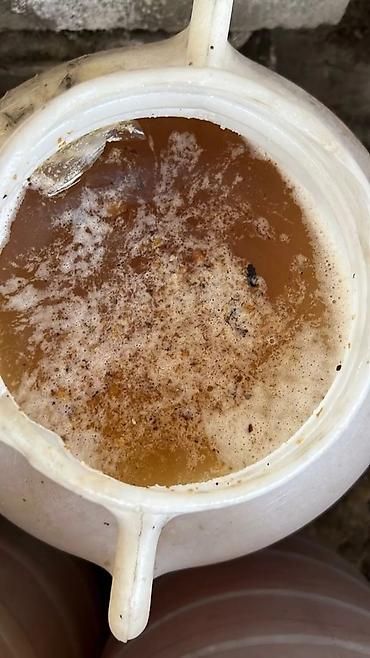 Мёд: Мёд шести видов в Кара Балта простой мёд разнотравье горный кг — 10