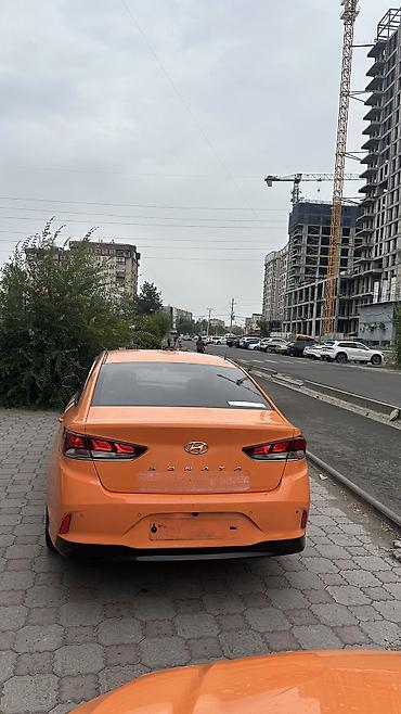 санато 2019: Hyundai Sonata: 2019 г., 2 л, Автомат, Газ, Седан — 6