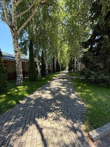 Долгосрочная аренда квартир: Студия, С мебелью полностью — 3