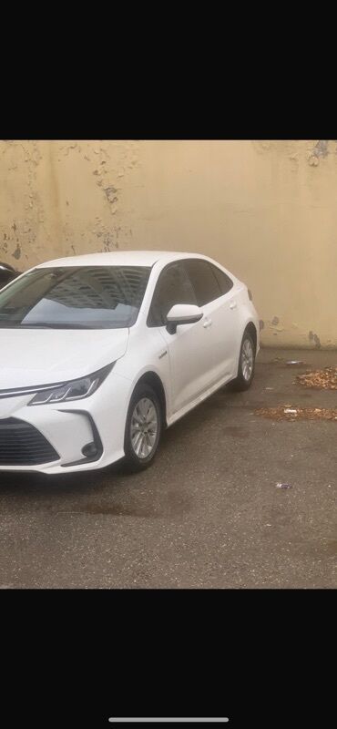Аксессуары и тюнинг: Toyota Corolla – ağ rəngli sedan, hibrid emblemli versiya. Şəhər və