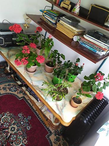 Продажа коттеджей и домов: 🏡 Продаётся просторный дом на 5–7 комнат в Таш-Кумыре Таш-Көмүр — 3