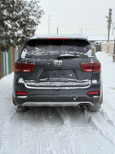 Kia: Kia Sorento: 2019 г., 2 л, Автомат, Дизель, Кроссовер — 6