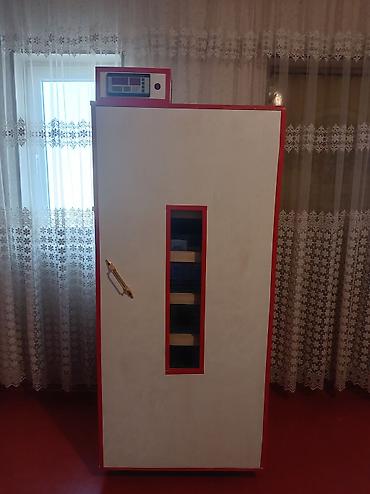 cucəsi: İnkubator 1000 yumurtalıq zakasla yigilir tam afdamat isdeyeyir unvan — 1