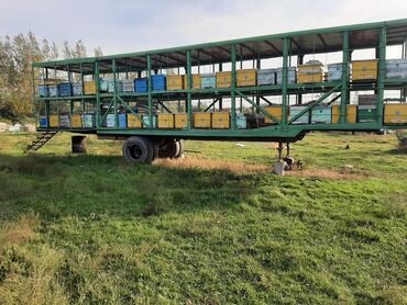 Digər kənd təssərüfat avadanlığı: Köçəri arıçılıq üçün komplekt trailer-karavanlar və avadanlıqlar - Üç — 11