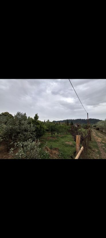 Torpaq sahələrinin satışı: 15 sot, Mülkiyyətçi, Kupça (Çıxarış) -da lalafo.az — 5 Torpaq sahələrinin satışı: 15 sot, Mülkiyyətçi, Kupça (Çıxarış) — 5