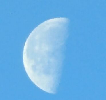 Google: Google Pixel 7 Pro, Б/у, 128 ГБ, цвет - Черный, 2 SIM, eSIM — 9