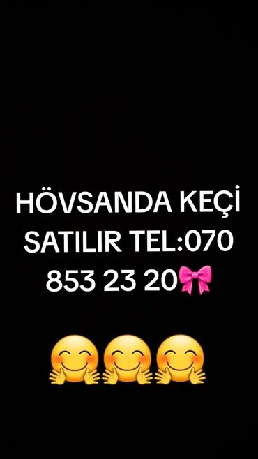 Digər kənd təsərrüfatı heyvanları: Cəmisi 16 sani keçisidir onlardan 6 tısı erkek 10 dişi hal hazırda — 21