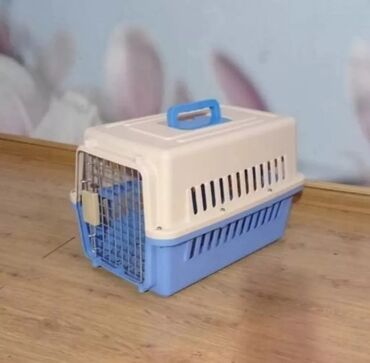 продаю щенков мопса: Пластиковые переноски боксы для транспортировки и авиаперелёта кошек