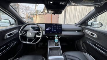 BYD: BYD : 2025 г., Электромобиль, Кроссовер — 5