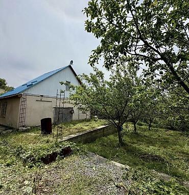 Продажа дачи: 🏡🔥 ПРОДАЁТСЯ ДАЧА В ТАШ-МОЙНОКЕ! ДТ: «Мичуринец» 🌿 💥 Участок — 6 — 2