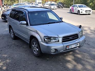 Subaru: Subaru Forester: 2003 г., 2 л, Автомат, Бензин, Кроссовер — 3