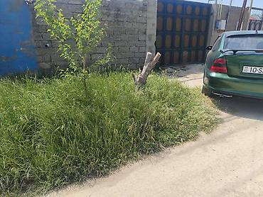 tecili ev satilir: 4 otaqlı, 100 kv. m, Kredit yoxdur, Orta təmir — 4