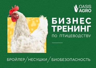 бий курсу: 📅 Проводится каждую неделю с четверга по пятницу Тема: Бройлер -