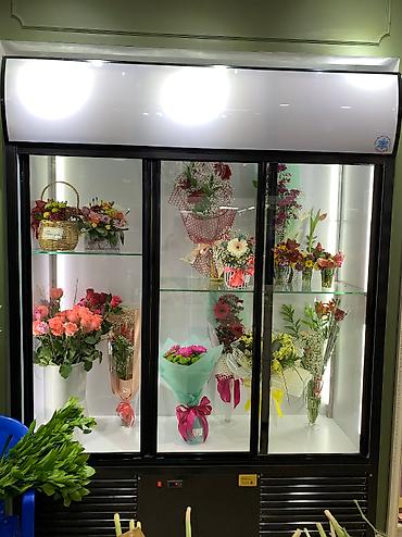 Холодильные витрины: Для напитков, Для молочных продуктов, Для мяса, мясных изделий, Новый — 6