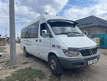 утук фото: Mercedes-Benz Sprinter (длинная база, высокий потолок) – пассажирский — 1