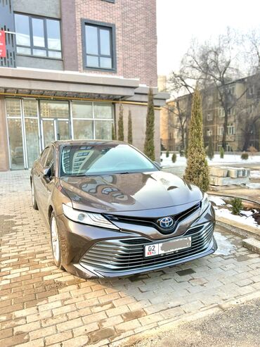 тойота пикник: Toyota Camry: 2018 г., 2.5 л, Автомат, Гибрид, Седан