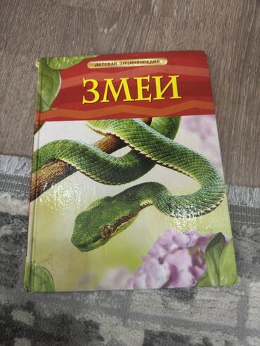 Детские книги: Детские энциклопедии (2 книги) из одной серии: - «Змеи» - «Птицы»