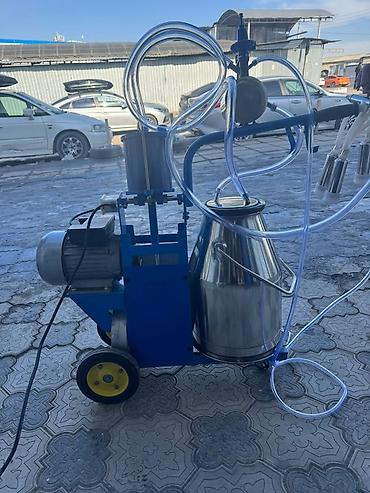 Товары и оборудование для с/х животных: Доильный аппарат на тележке для коров Описание: - Мобильная установка — 1