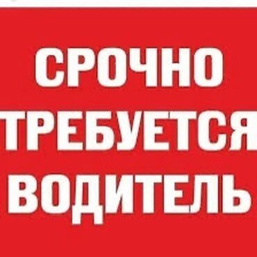 Водители грузового транспорта: Требуется Водитель грузового транспорта, Категория прав (B), 1-2 года опыта, Техподдержка, Шестидневка, Старше 23 лет