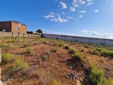 Torpaq sahələrinin satışı: 36 sot, Tikinti, Makler, Kupça (Çıxarış) — 8