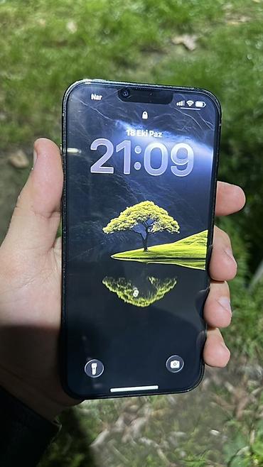 108 ekran: IPhone 13 Pro, Alpine Green, Face ID — 2