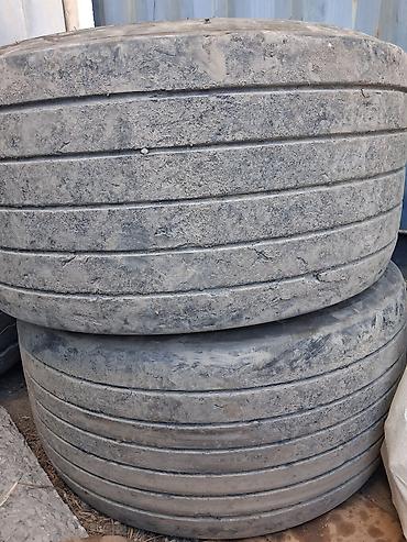 Шины: Грузовые шины 435/50 R19.5. Размер указан на боковине — 2
