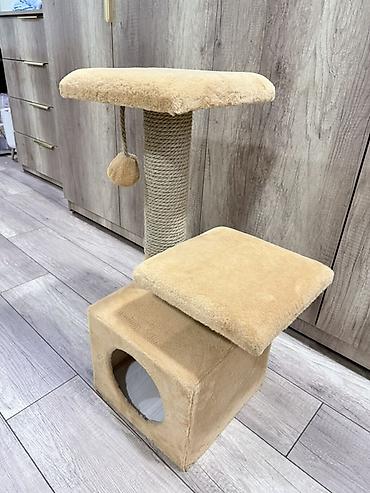 clarks обувь: 🐱 Когтеточка-игровой комплекс для кошек - состояние как новое! Продам — 2