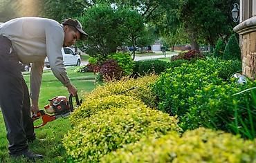 garden: 🌿🌳🌴🌲 Bağ və bağban xidmətləri Mövsümi budama – Ağac və kolların — 2