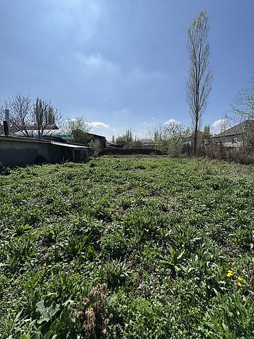 с фрунзе: 4 соток, Для строительства, Договор купли-продажи, Красная книга — 3