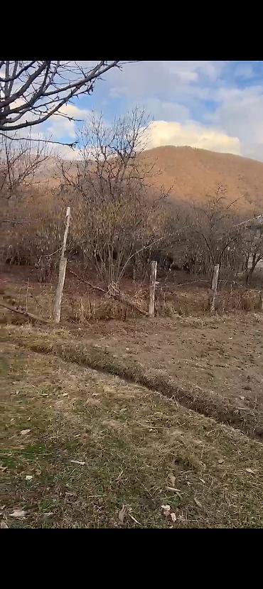 ev ve bag: Kənd evi və torpaq sahəsi - Daşdan tikili kənd evi, ətrafı hasarla — 2