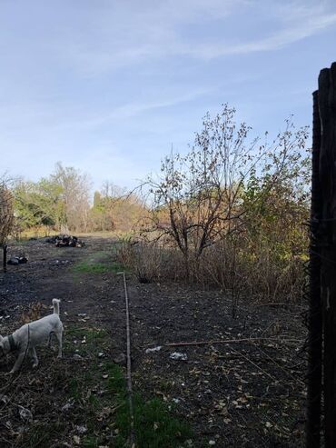 Продажа домов: Дом, 80 м², 6 комнат, Собственник, Косметический ремонт at lalafo.kg — 12 Продажа домов: Дом, 80 м², 6 комнат, Собственник, Косметический ремонт — 12