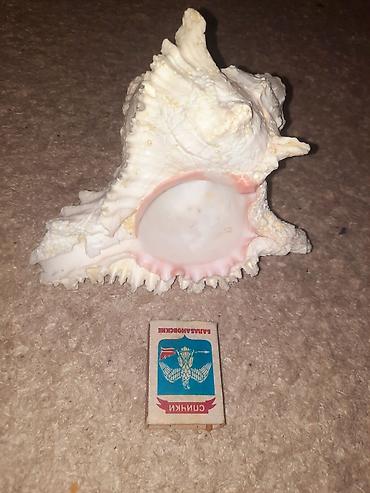 Рыбы: Продам растения и гроты для аквариума в хорошем состоянии,цена указана — 3