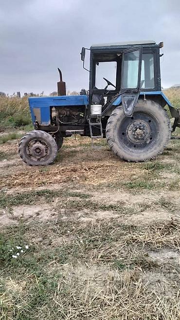 Тракторы МТЗ (Беларус): Модель: 82, Б/у, 1991 г. — 7