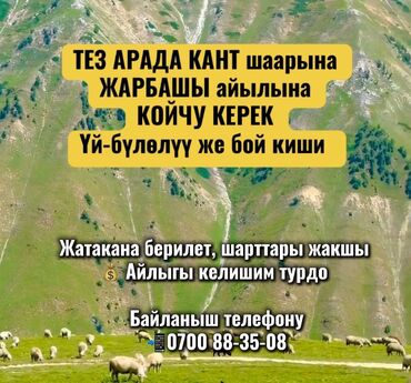 работа дворник с проживанием: Требуется Пастух