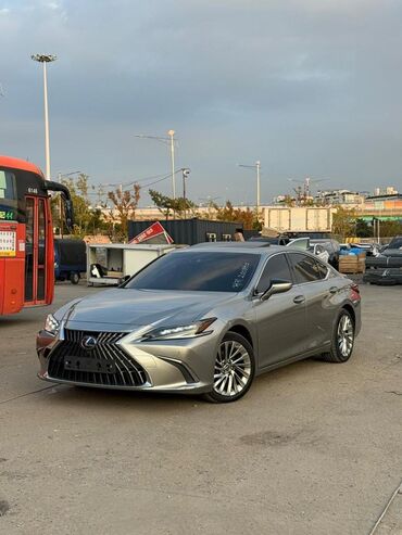 антенны на машину: Lexus ES: 2021 г., 2.5 л, Вариатор, Гибрид, Седан