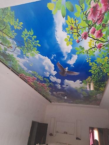 Натяжной потолок: Натяжной потолок Глянцевое, Матовое, 3D потолки Бесплатный замер, Гарантия, Монтаж — 5