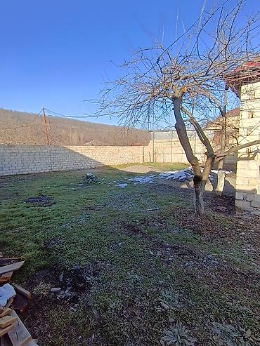 Həyət evləri və villaların satışı: 10 otaq, 155 kv. m, Orta təmir — 12