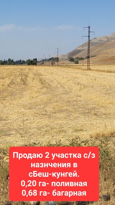 земельный доля: 8 соток, Для сельского хозяйства, Тех паспорт