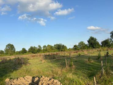 Torpaq sahələrinin satışı: 80 sot, Kənd təsərrüfatı, Mülkiyyətçi, Kupça (Çıxarış), Müqavilə — 7