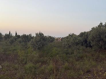 Torpaq sahələrinin satışı: 40 sot, Tikinti, Texniki pasport — 8